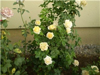 2e278cde-Picture 3213.jpg